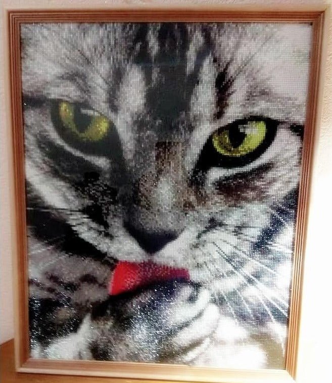 Broderie Diamant 5D Chat - Diamond Paintings