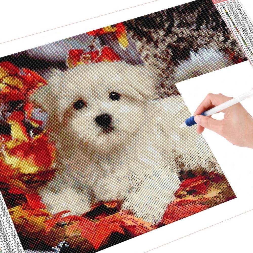 Broderie Diamant Bichon - Diamond Paintings