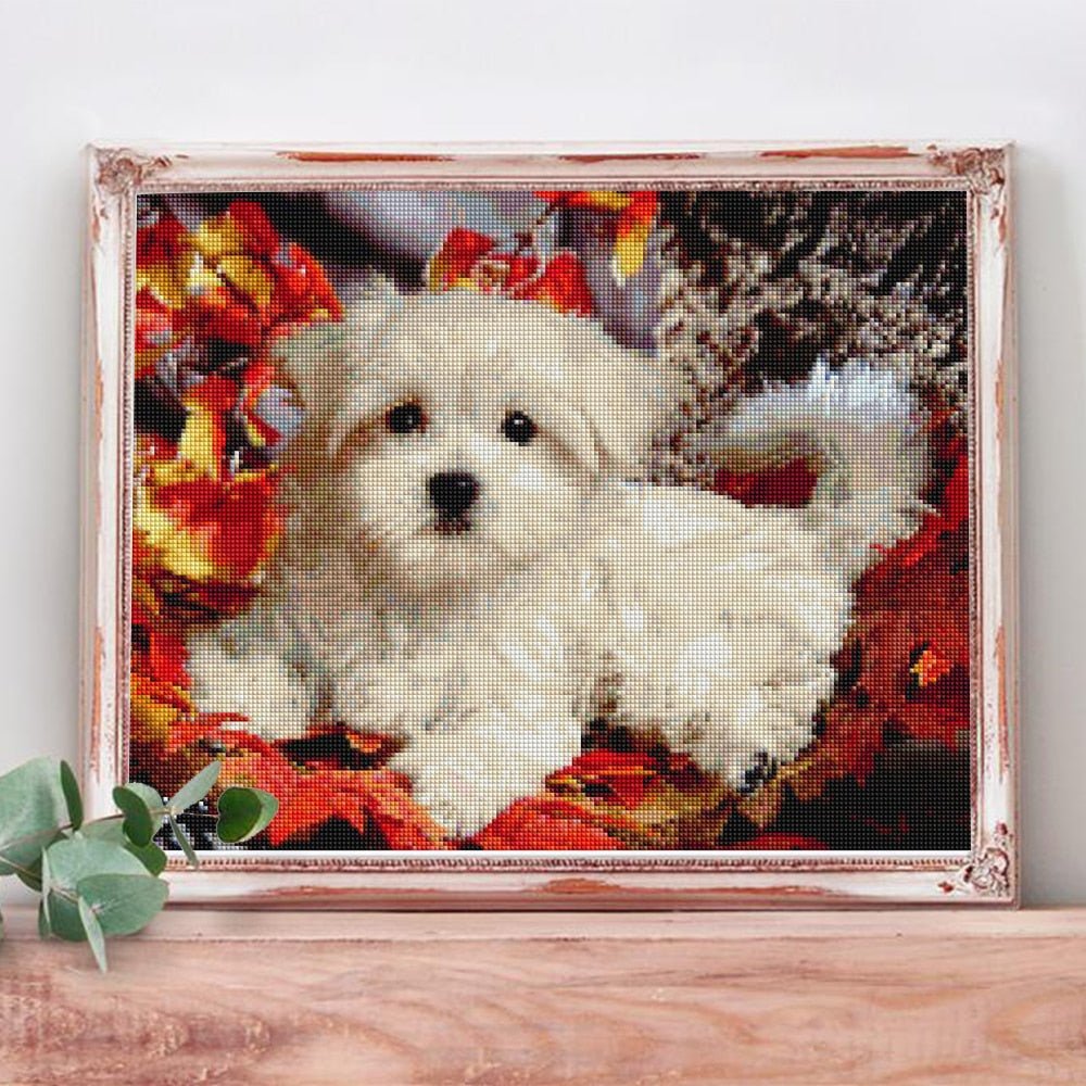 Broderie Diamant Bichon - Diamond Paintings