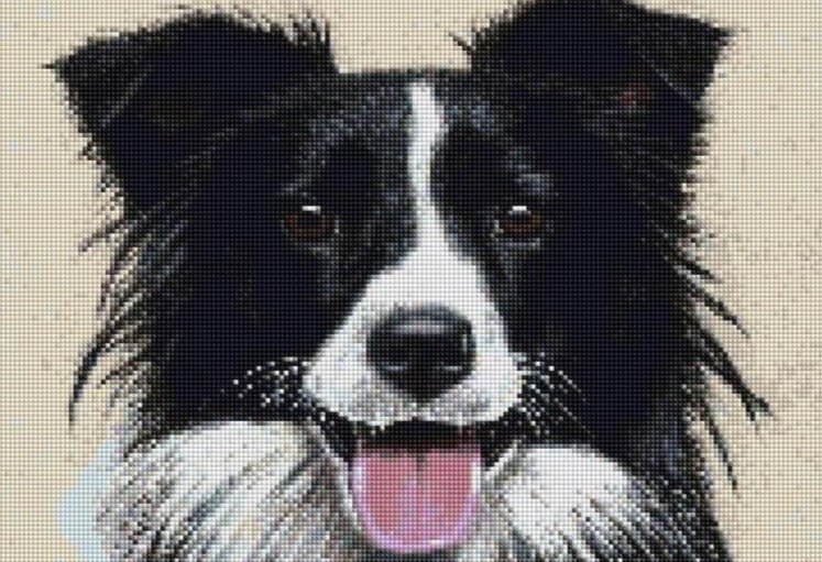 Broderie Diamant Border Collie - Diamond Paintings