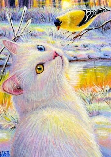 Broderie Diamant Chat Blanc - Diamond Paintings