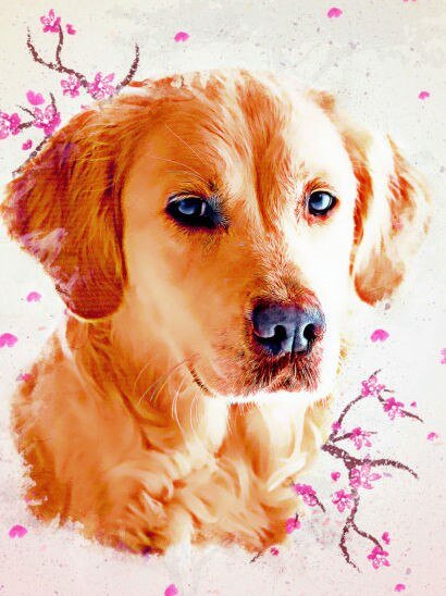 Broderie Diamant Chien Golden Retriever - Diamond Paintings