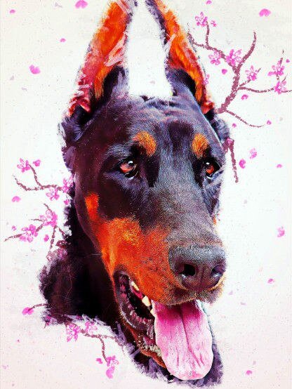 Broderie Diamant Dobermann - Diamond Paintings