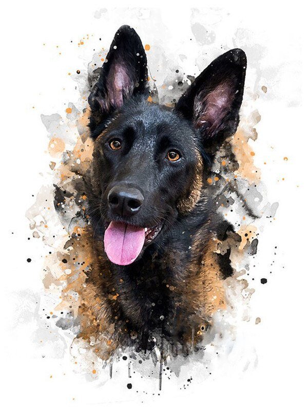 Diamond Painting Chien Belge - Diamond Paintings
