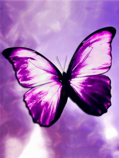 Papillon Violet Reflet Diamond Painting - Diamond Paintings
