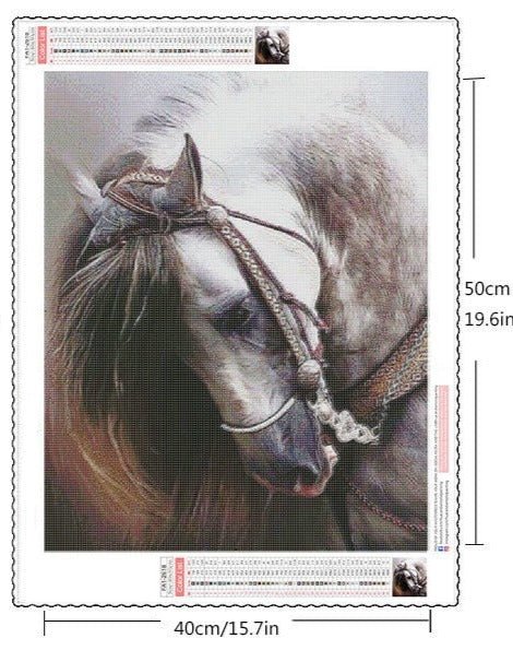 Tête de Cheval Diamond Painting - Diamond Paintings