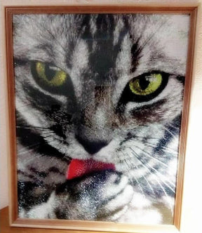 Broderie Diamant 5D Chat - Diamond Paintings