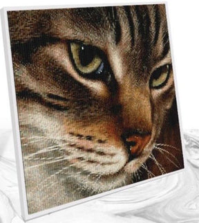 Broderie Diamant Chat Coloré - Diamond Paintings