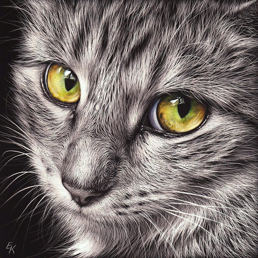 Broderie Diamant Chat Gris - Diamond Paintings