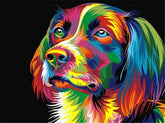 Broderie Diamant Chien Multicolore - Diamond Paintings