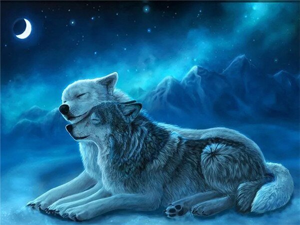 Broderie Diamant Loup câlin - Diamond Paintings