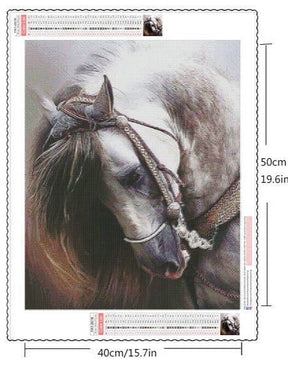 Tête de Cheval Diamond Painting - Diamond Paintings